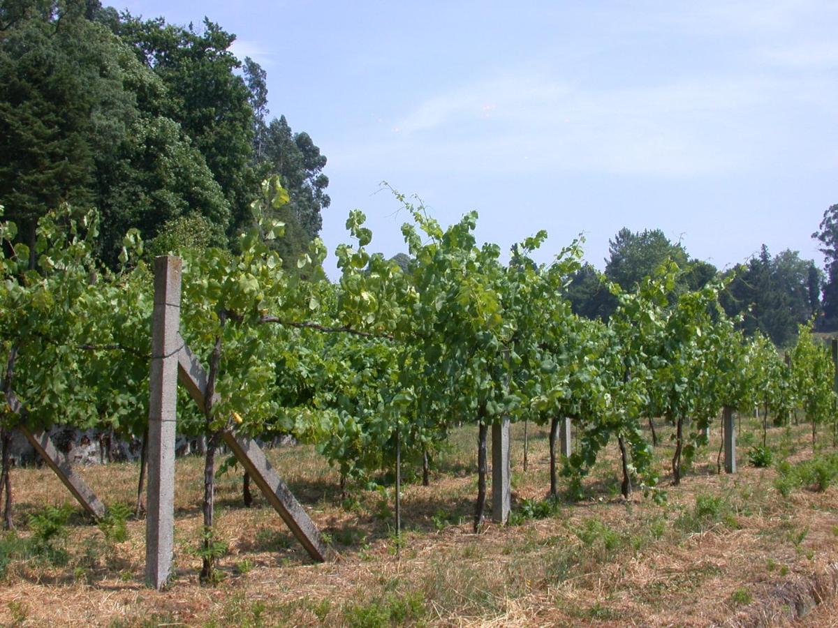 Quinta Da Tapada Villa Lousada Kültér fotó