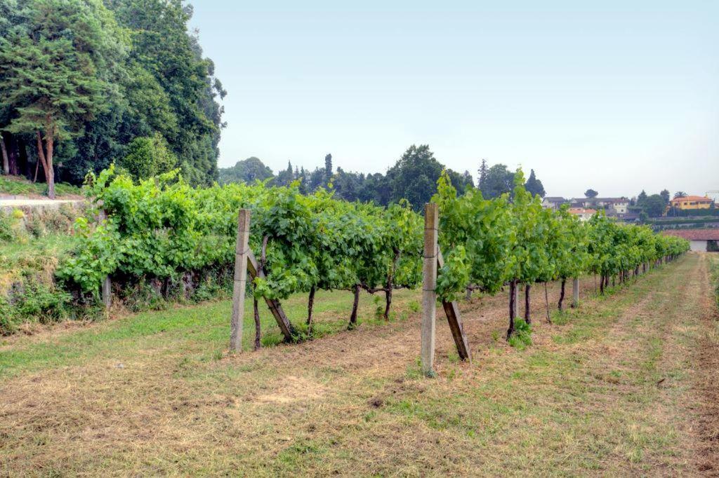Quinta Da Tapada Villa Lousada Kültér fotó
